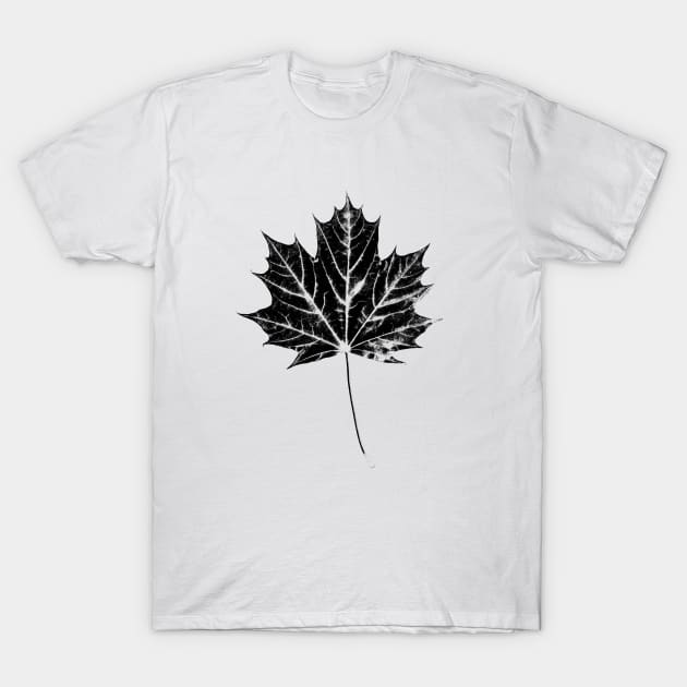 Maple Leaf Print T-Shirt by HammerPen